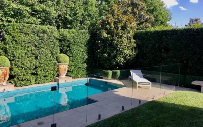 Bay Laurel (Sweet Bay) - Laurus Nobilis - 3 Gallon Pot -Chaste Tree World Bay Laurel 7