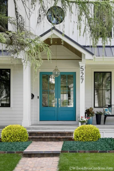 Golden Triumph Variegated Dwarf Boxwood - 1 Gallon Pot -Chaste Tree World Boxwood Golden Triumph 7 3