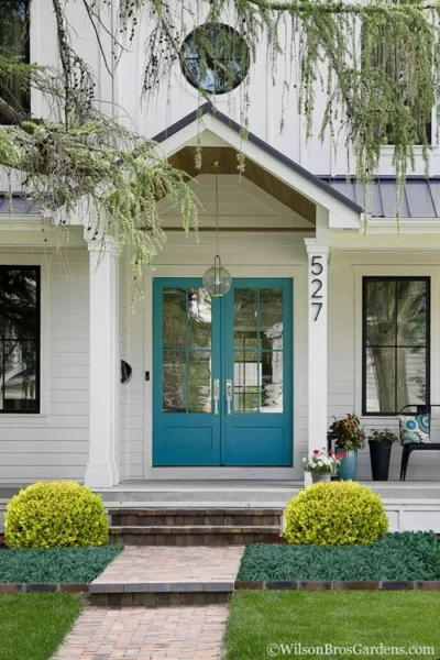 Golden Triumph Variegated Dwarf Boxwood - 6 Pack Of 1 Gallon Pots -Chaste Tree World Boxwood Golden Triumph 7