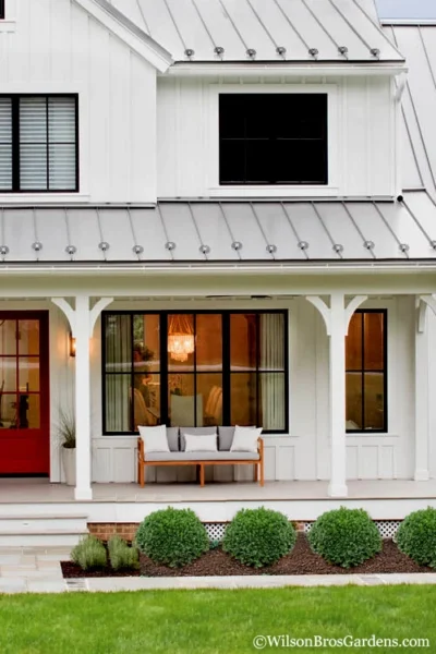 Korean Dwarf Boxwood - Buxus Sinica Var. Insularis 'Nana' - 1 Gallon Pot -Chaste Tree World Boxwood Korean Dwarf Insularis Nana 4 2