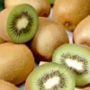 Jenny Self-Fertile Kiwi Vine - Quart Pot