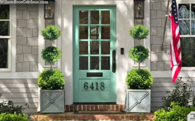 Green Mountain Boxwood 3-Ball Poodle Tier Topiary - 6 Gallon Pot 7 Green Mountain Boxwood 3-Ball Poodle Tier Topiary - 6 Gallon Pot -Chaste Tree World buxus green mountain 3 ball topiary 20