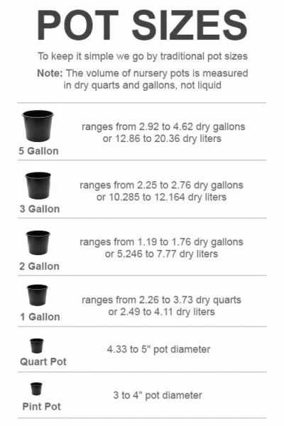 Best Seller -Chaste Tree World pot size chart 2022 1237