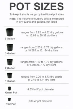 Chaste Tree World -Chaste Tree World pot size chart 2022 945